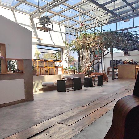 Dali Loft Travelling With Hostel Экстерьер фото