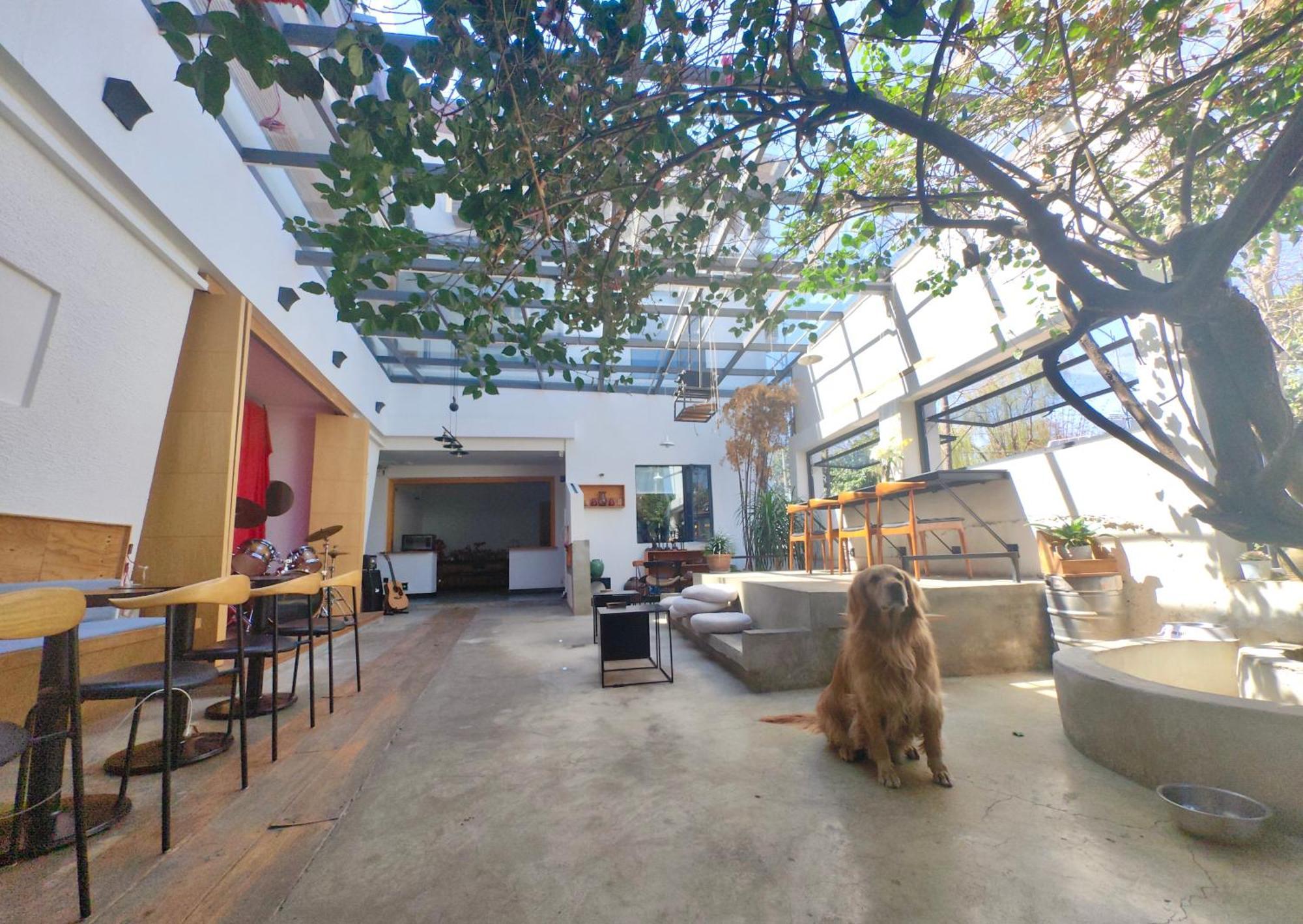 Dali Loft Travelling With Hostel Экстерьер фото